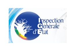 Logo Ige